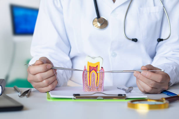 Best Weekend Emergency Dentist in Plymouth, NC